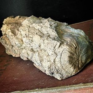 vintage cement small fireplace log